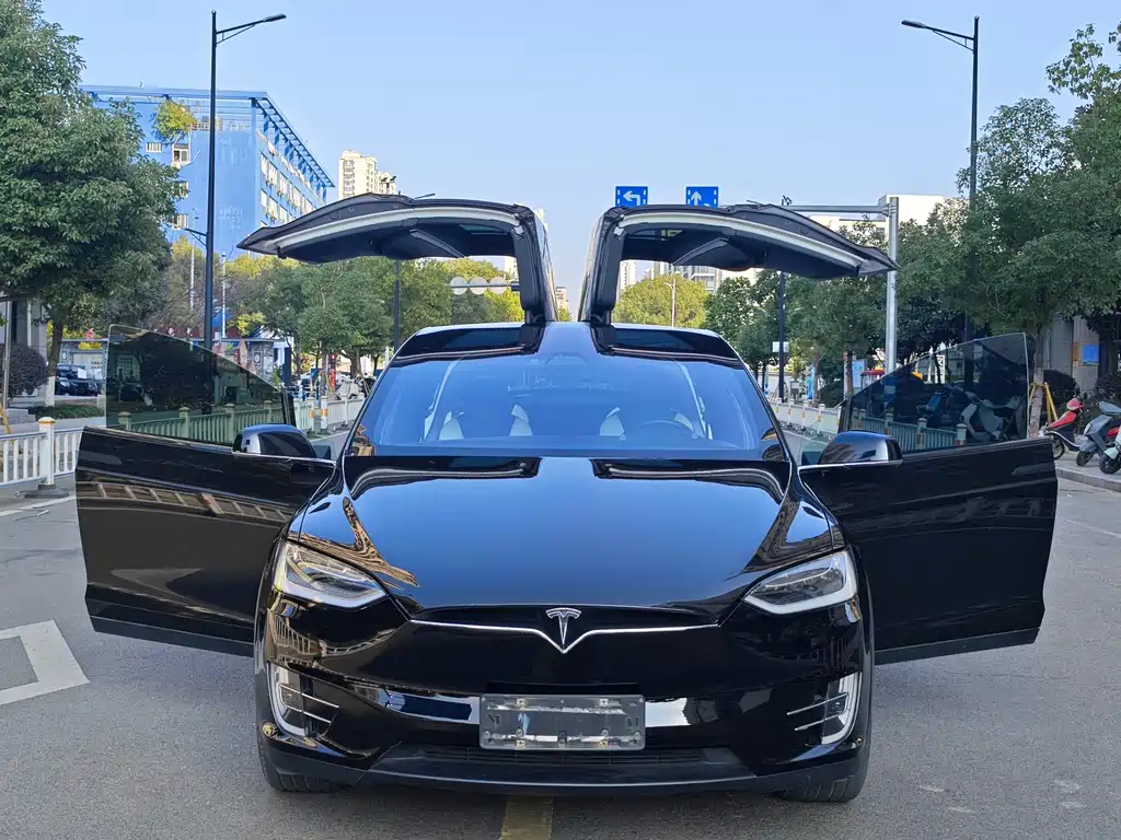 TESLA MODEL X