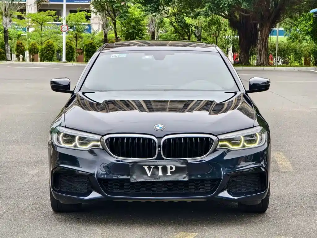 BMW 5 Series 5 2020 530Li Premium M Sport