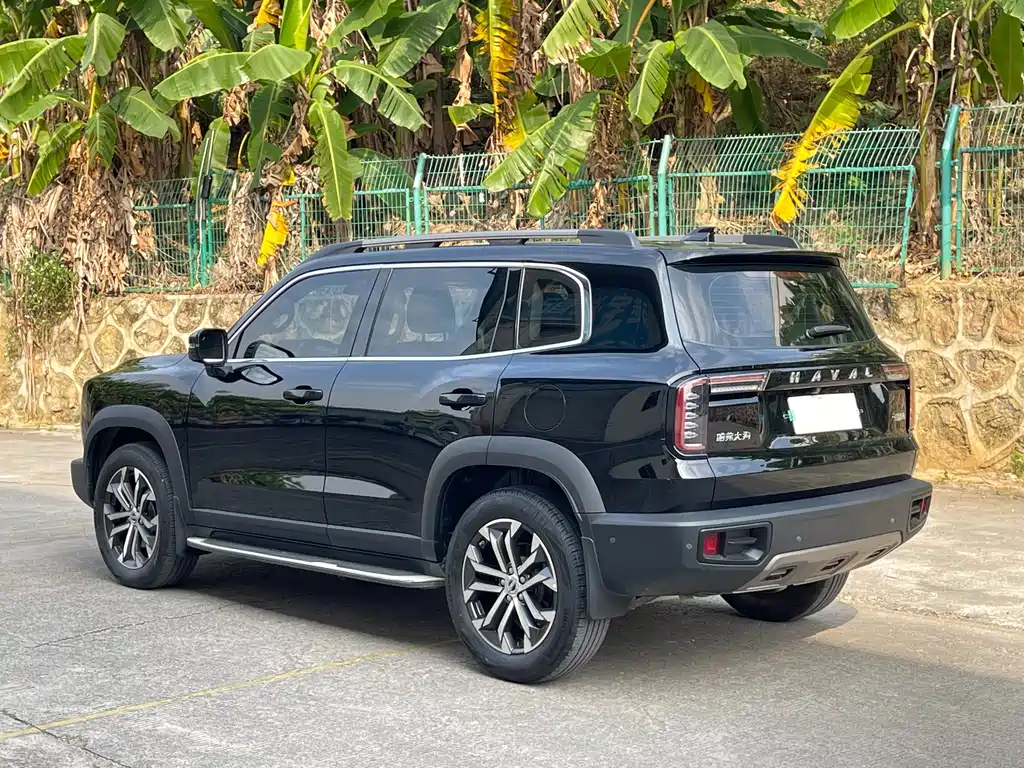 HAVAL BIG DOG