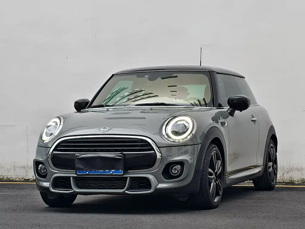 Mini Mini 2021