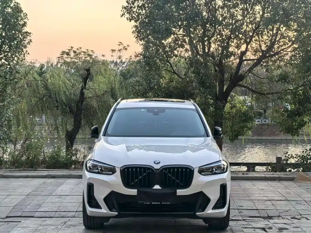 BMW X3 — миниатюра 2