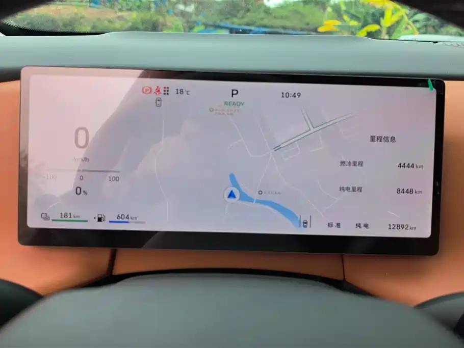 WEI PAI WEI BRAND BLUE MOUNTAIN