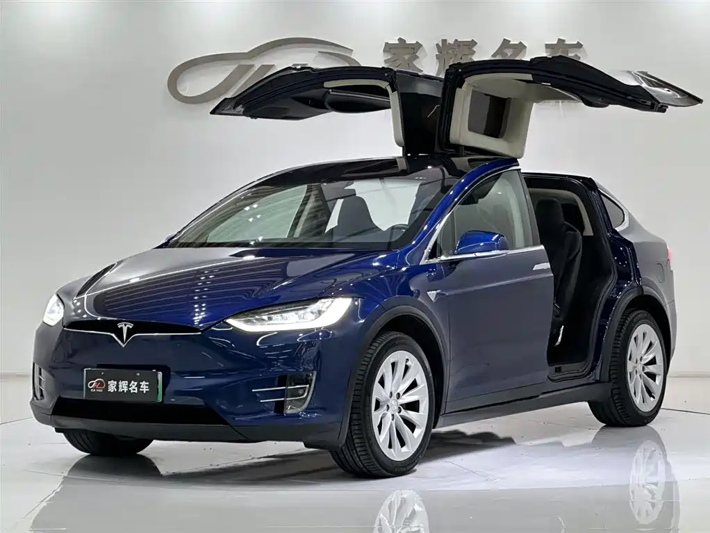 Tesla Model X 2017 Model X 100D