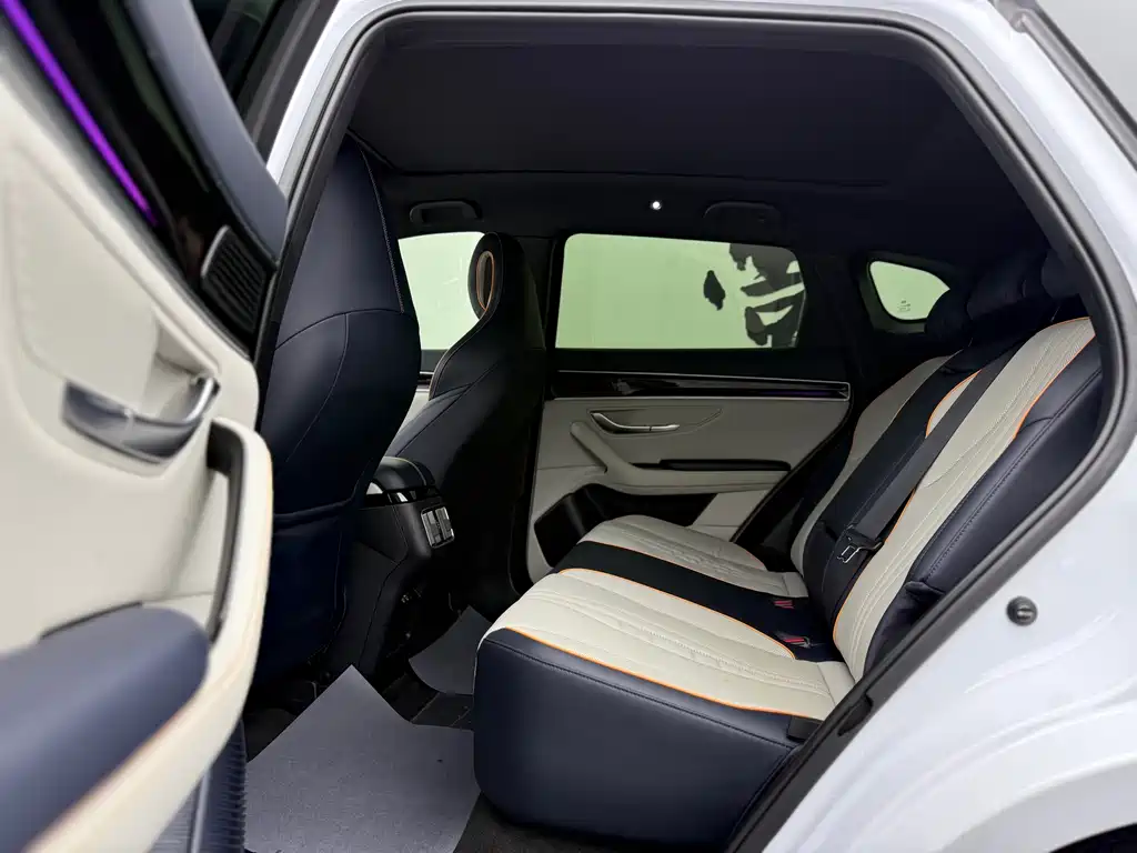 BYD SONGJIANG NEW ENERGY