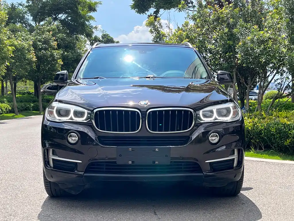 BMW X5 2014 xDrive35i Lead