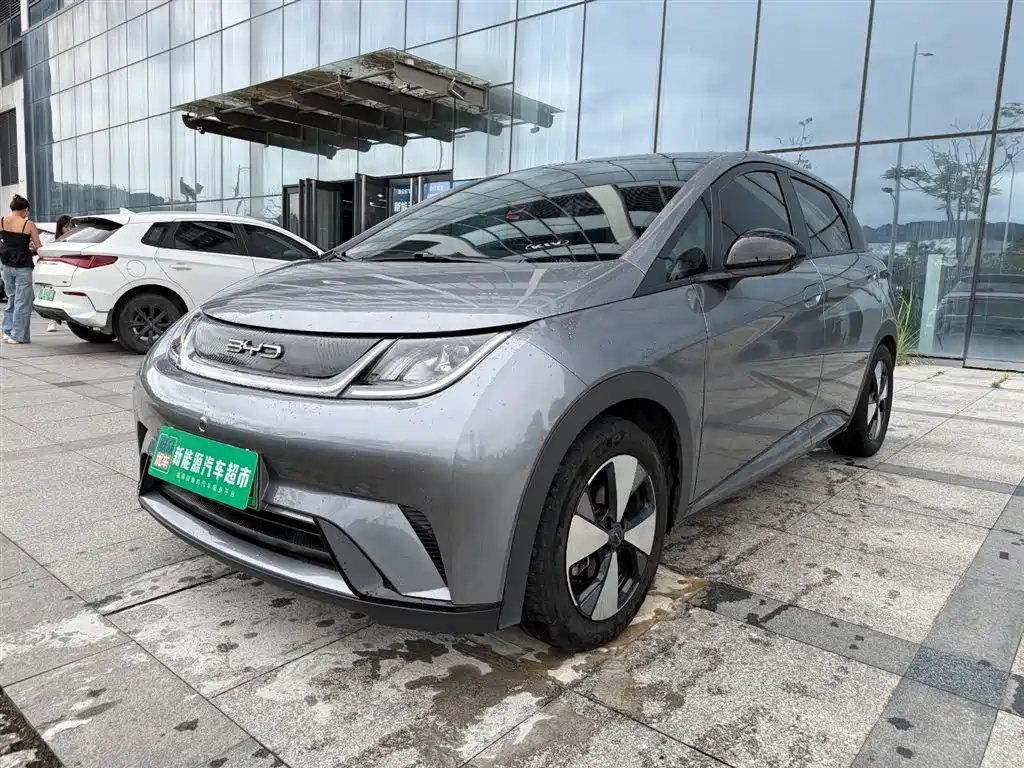 BYD Dolphin 2023 420km Fashion
