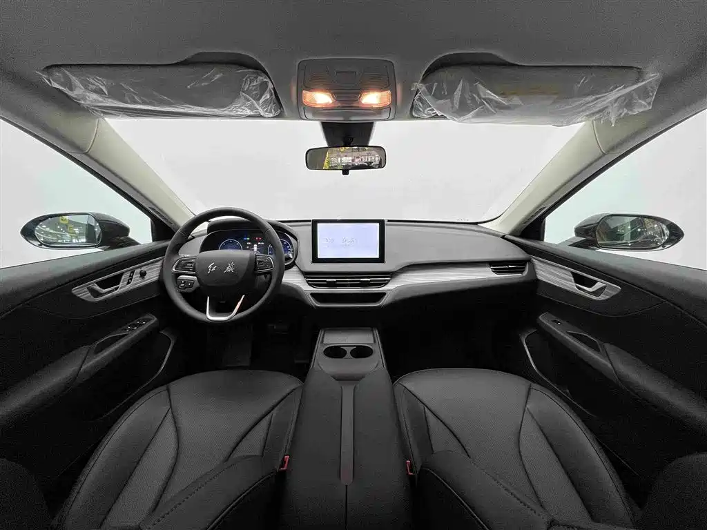 Hongqi Hongqi E-QM5 - фото 18