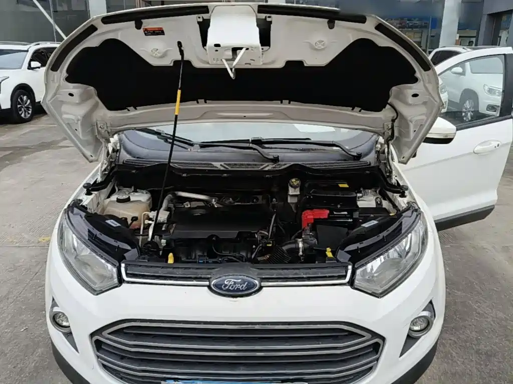 Ford Ecosport — миниатюра 20