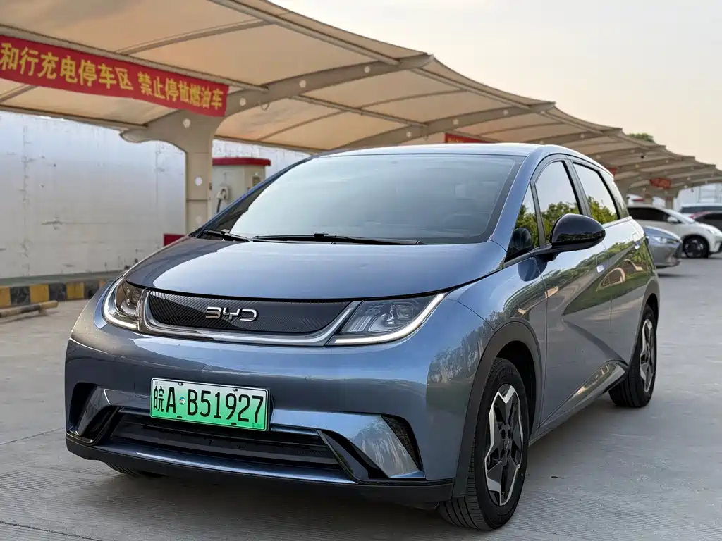Byd Dolphin 2024