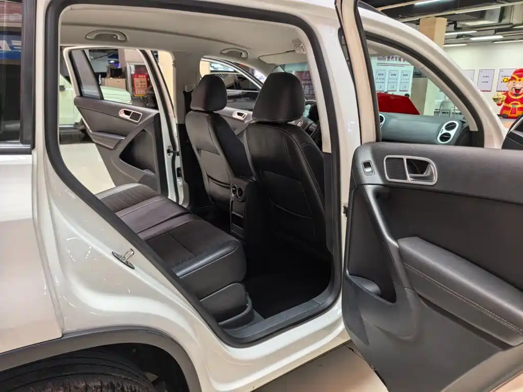 Volkswagen Tiguan 300TSI Auto 2WD Silk Road Elegant Edition, фото 8