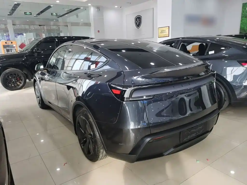 Tesla Model Y — миниатюра 5