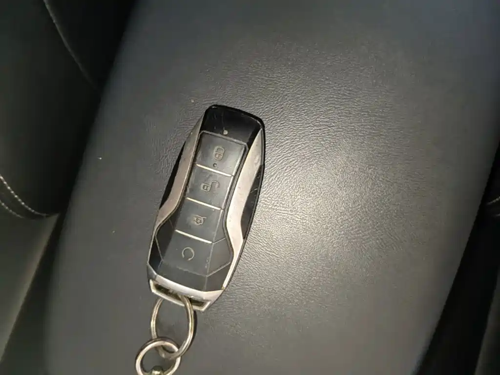 BYD Pro — миниатюра 9