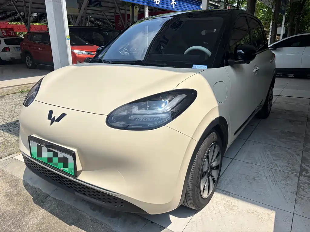 Wuling Bingo 2024