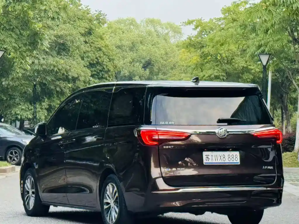 Buick GL8 — миниатюра 6