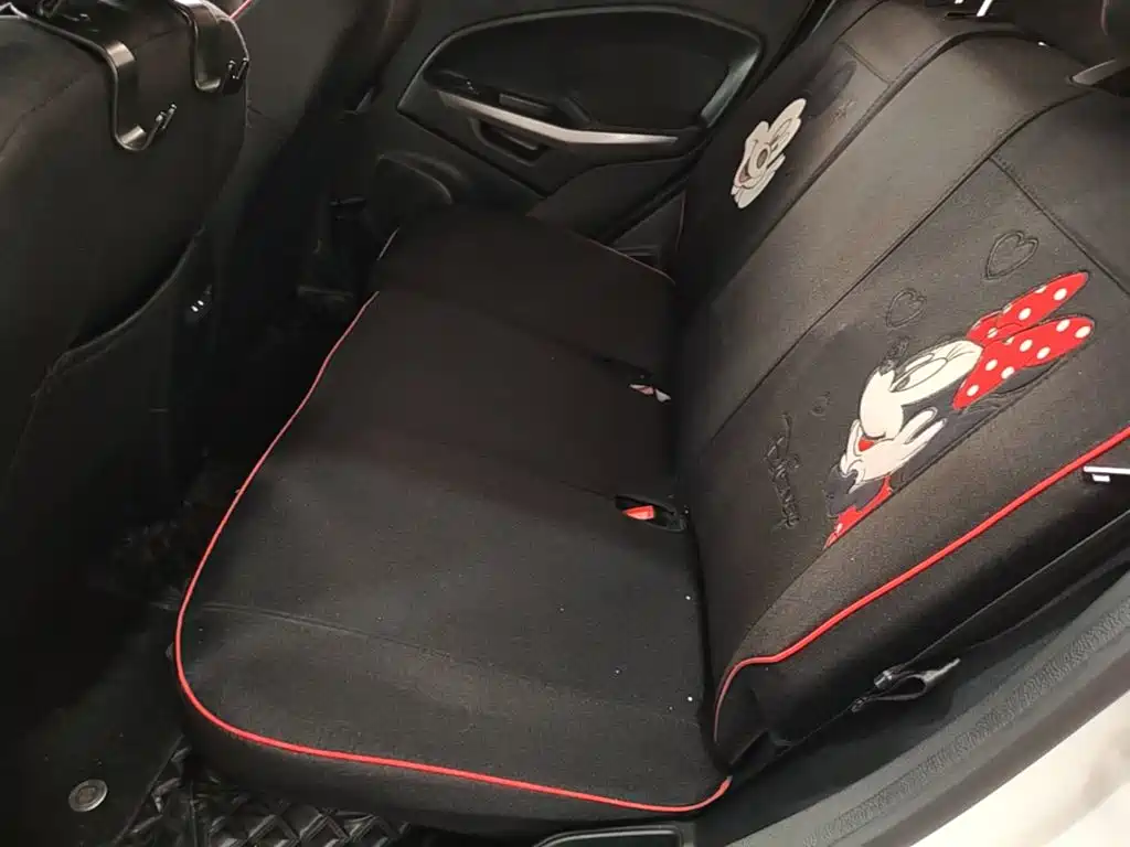 Ford Ecosport — миниатюра 17