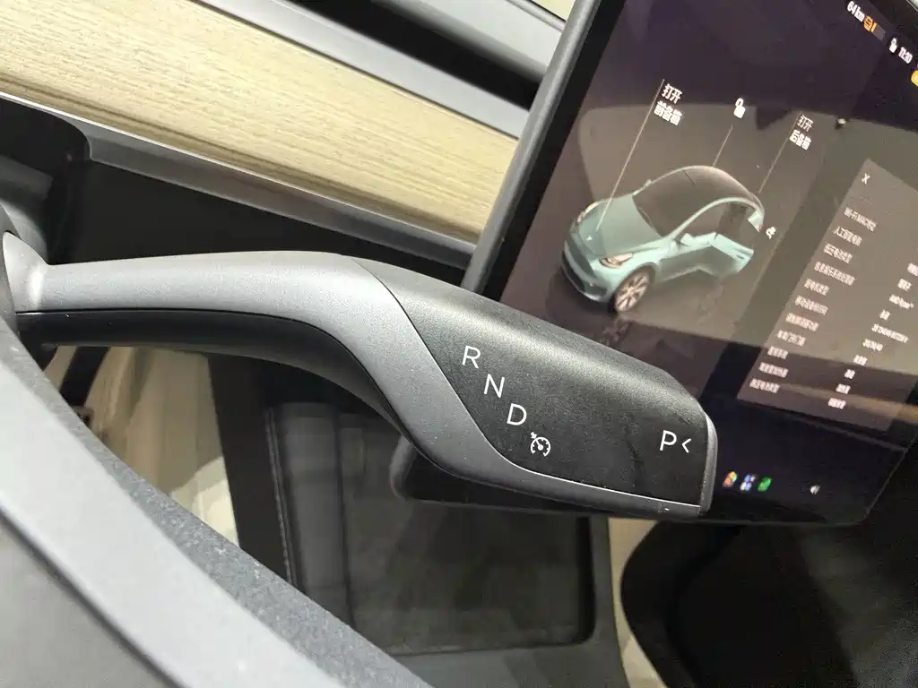 Tesla Model Y — миниатюра 14