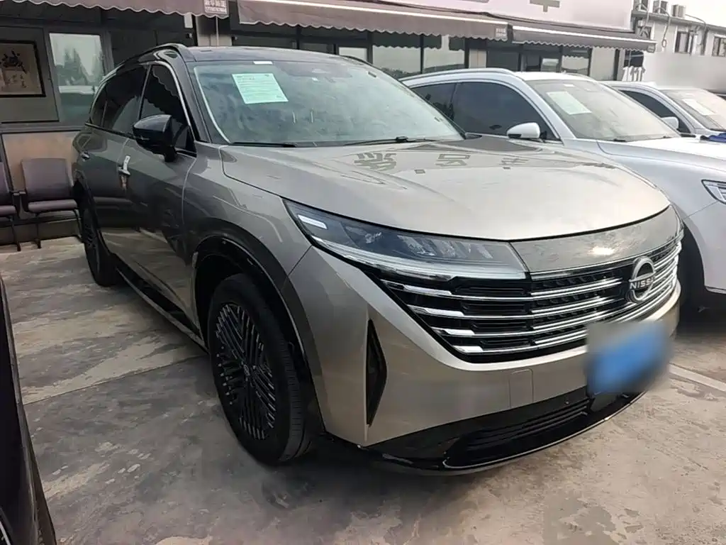 Nissan Teramont — миниатюра 4