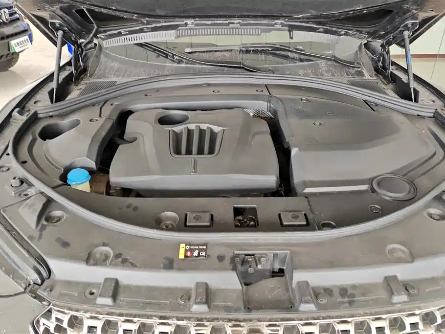 WEI PAI WEI BRAND VV7