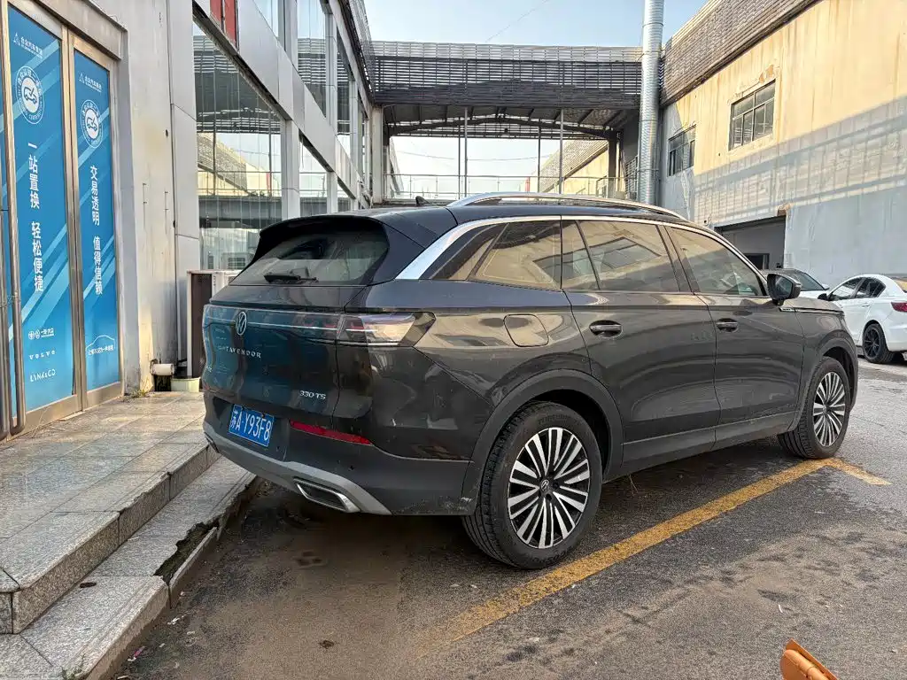 Volkswagen Tavendor — миниатюра 4
