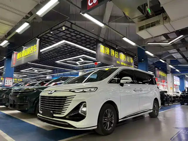 2024 Bestune M9
