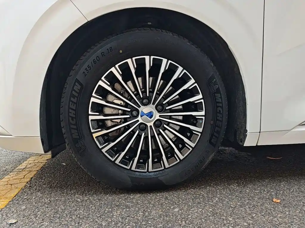 Denza Denza D9 — миниатюра 23
