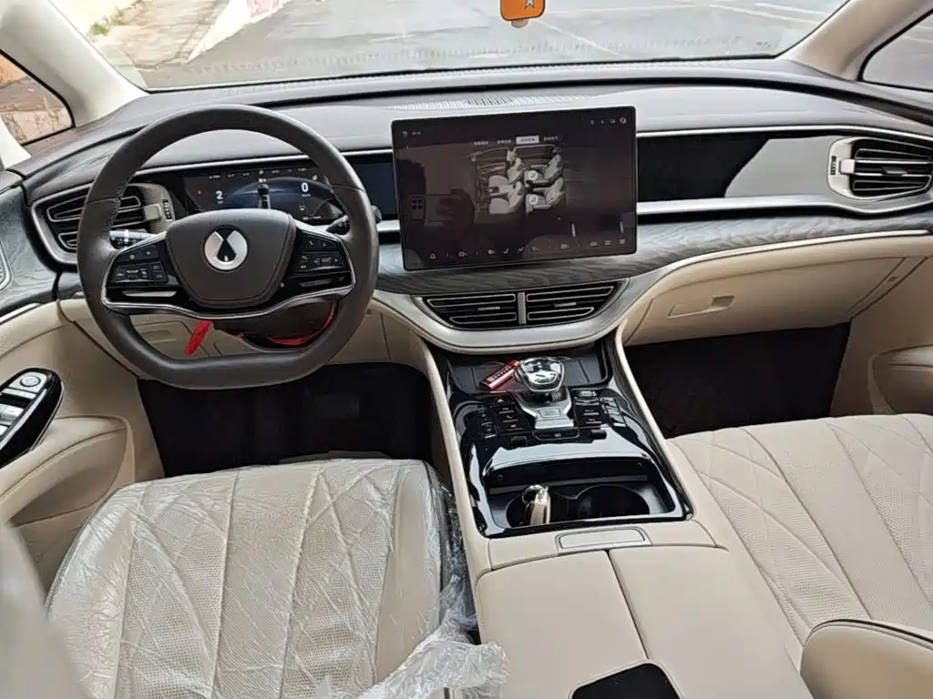 Denza Denza D9 — миниатюра 10