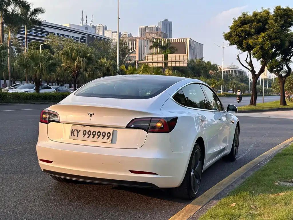 Tesla Model 3 — миниатюра 7