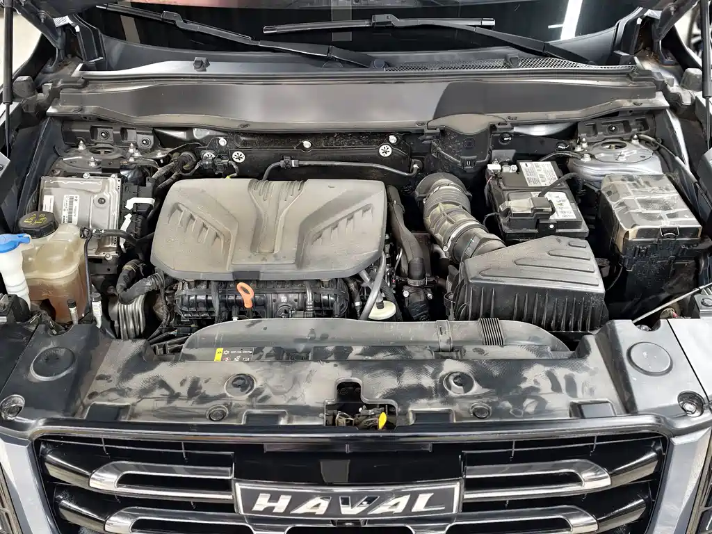 Haval Big Dog — миниатюра 13