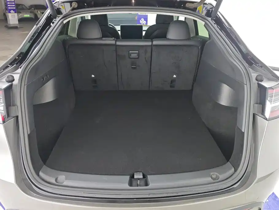 Tesla Model Y — миниатюра 4