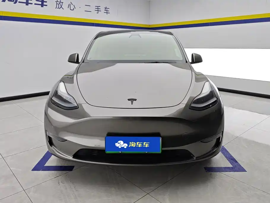 Tesla Model Y — миниатюра 2