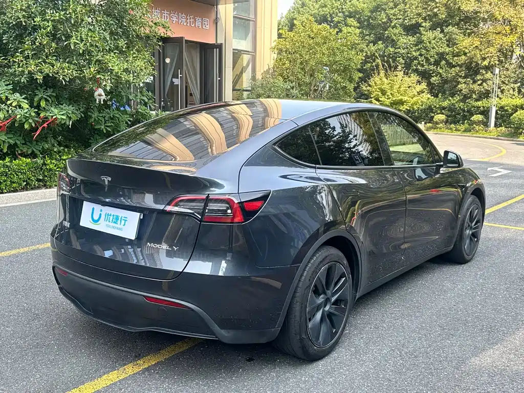 Tesla Model Y — миниатюра 3