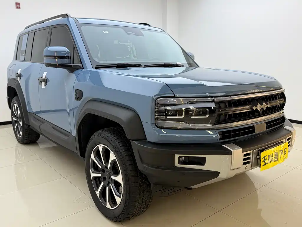 FANG CHENG BAO LEOPARD 5