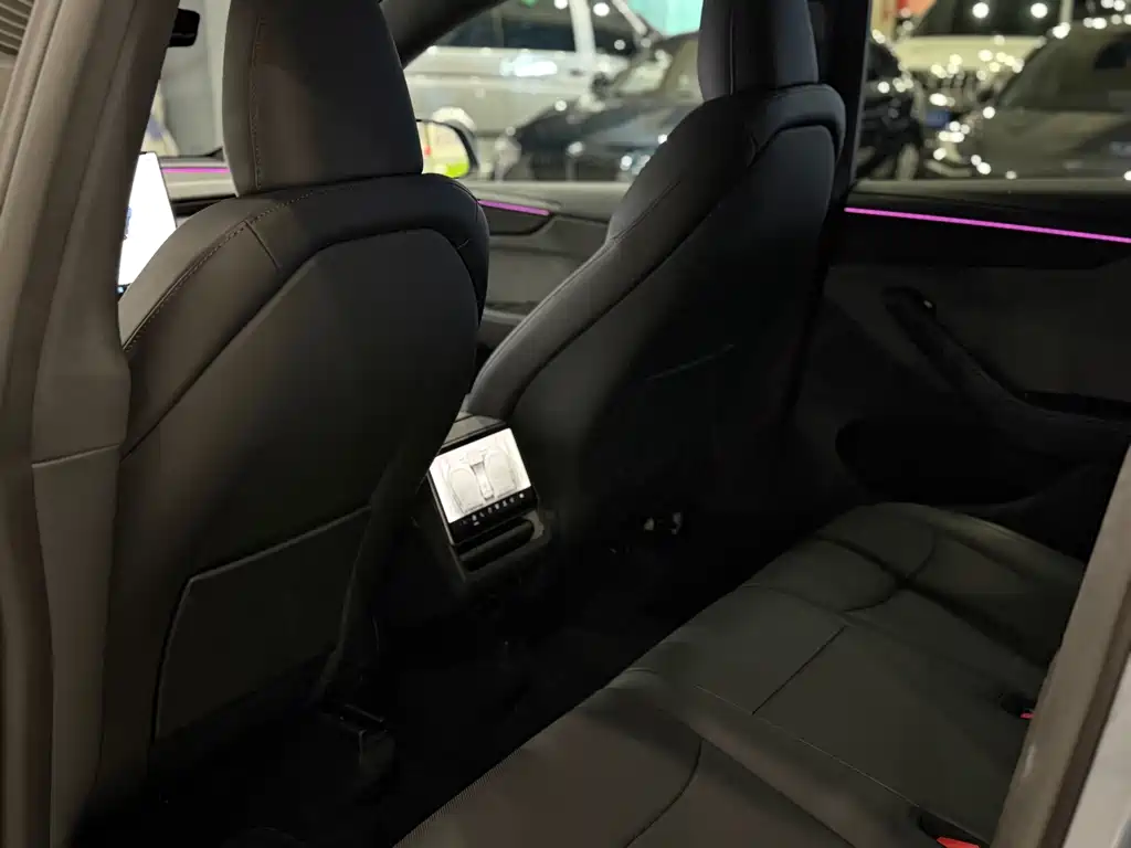 Tesla Model Y — миниатюра 5
