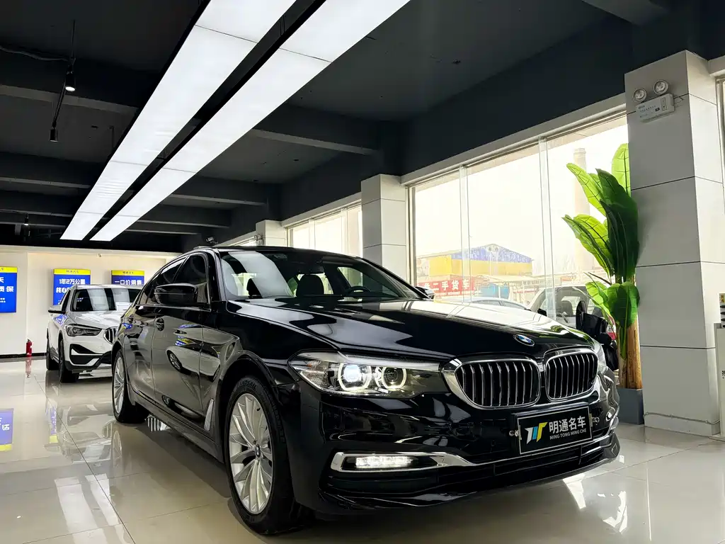 BMW 5 Series 5 2019 525Li Luxury