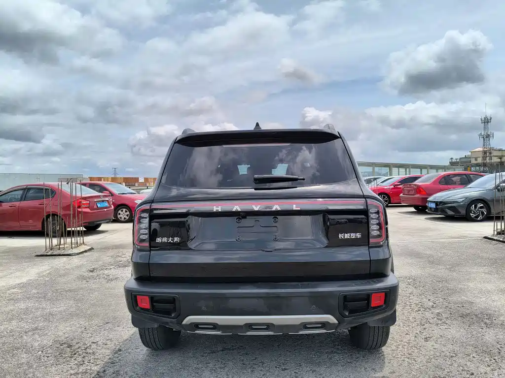 Haval Dargo 1.5T DCT Border Collie Edition, фото 4