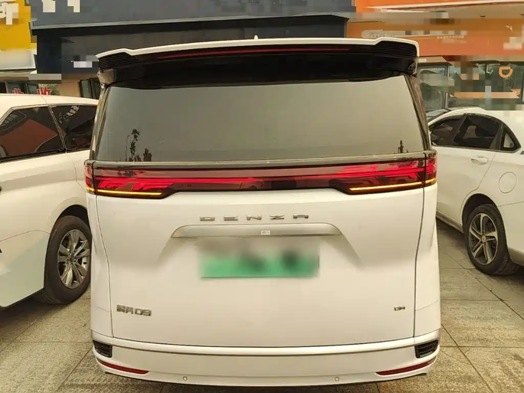 Denza Denza D9 — миниатюра 6