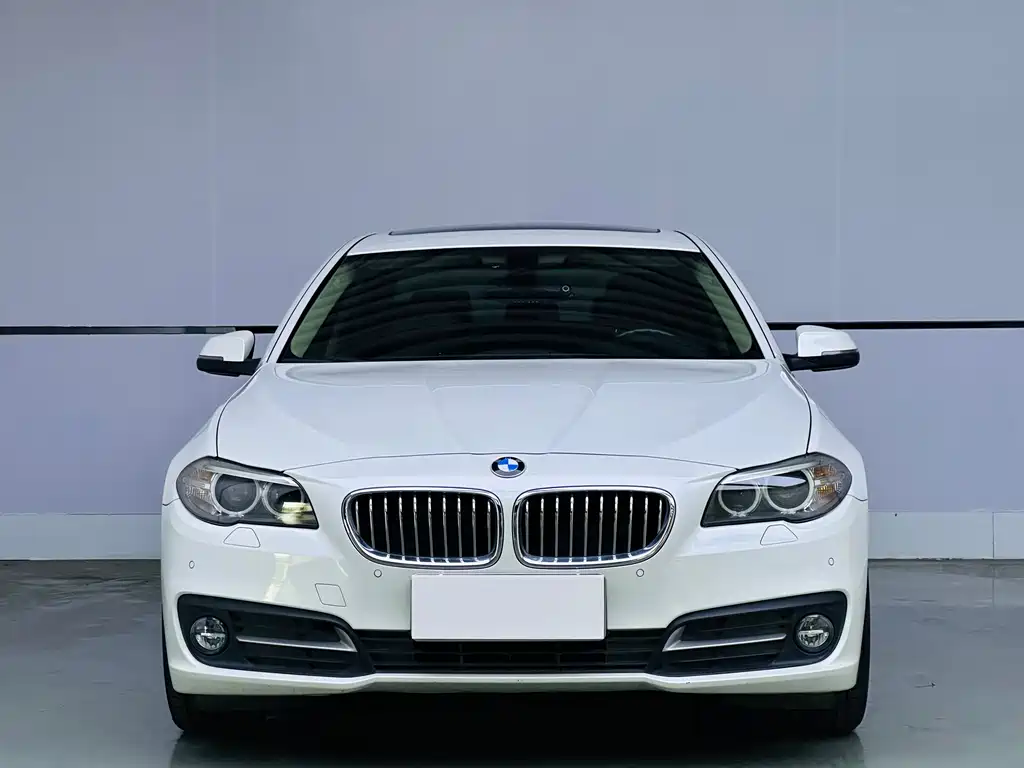 BMW 5 Series 5 2017 525Li Lead