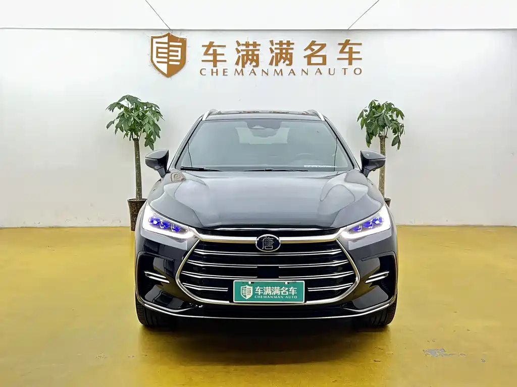 BYD Tang New Energy — миниатюра 2