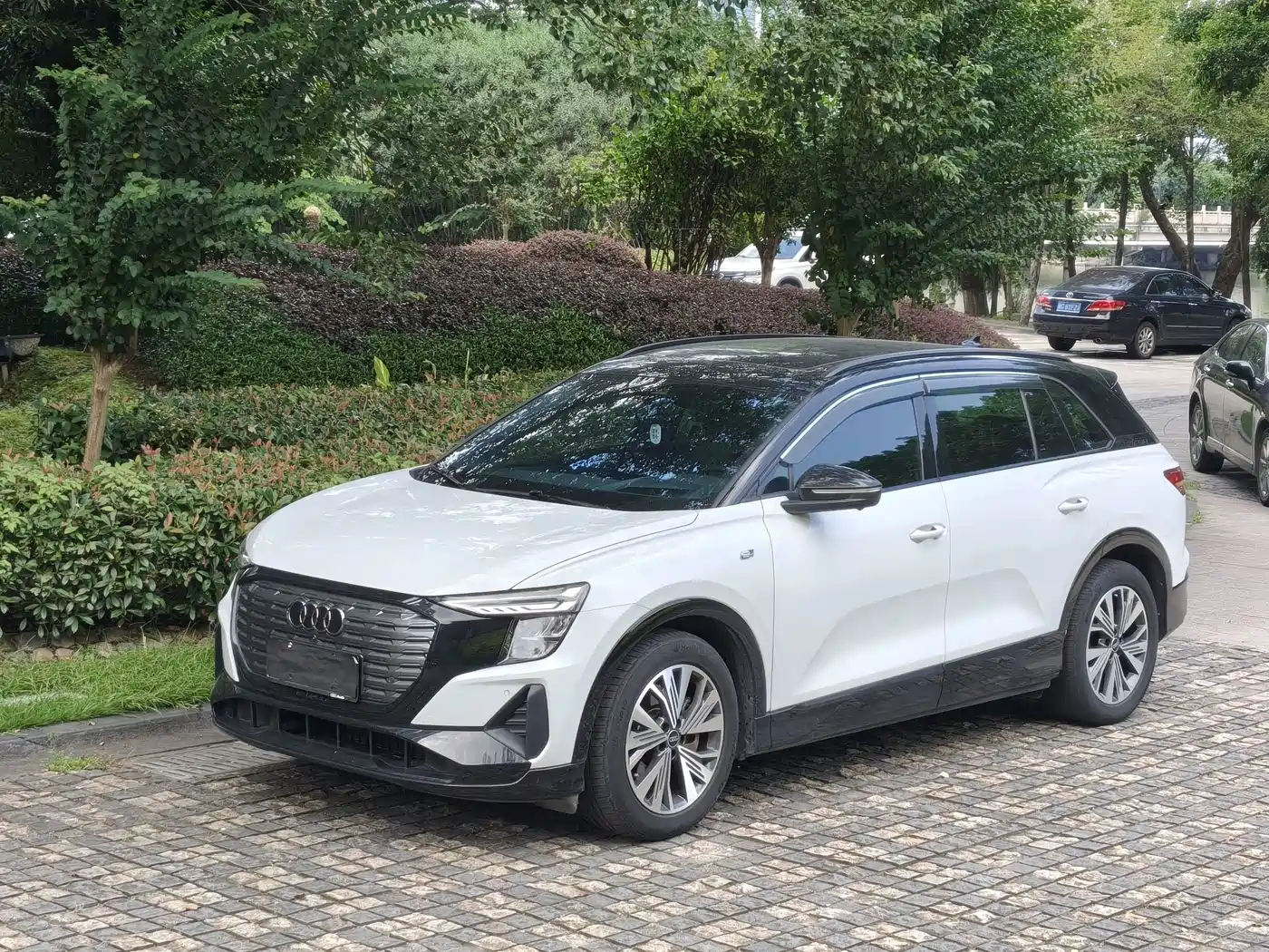 Audi 奥迪Q5 e-tron