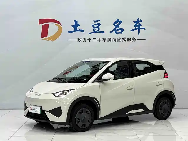 2026 BYD Seagull