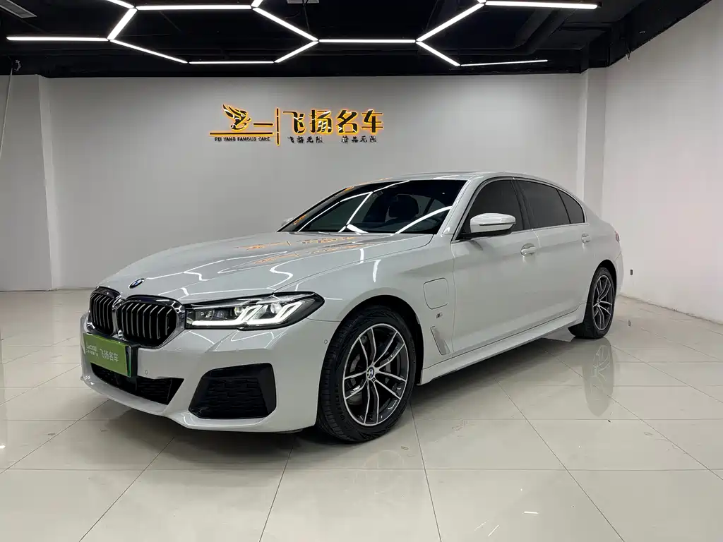 BMW 5 Series New Energy 2021