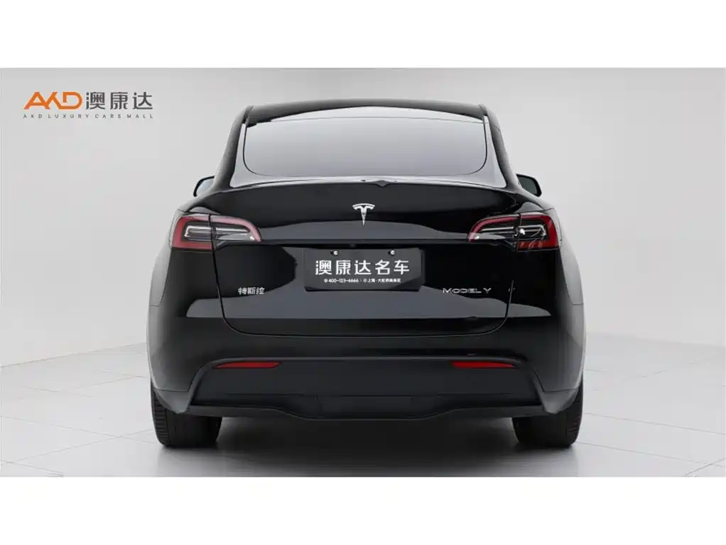 Tesla Model Y — миниатюра 4