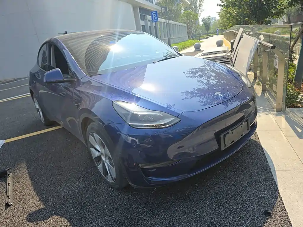 Tesla Model Y — миниатюра 4