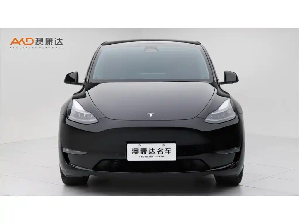 Tesla Model Y — миниатюра 2