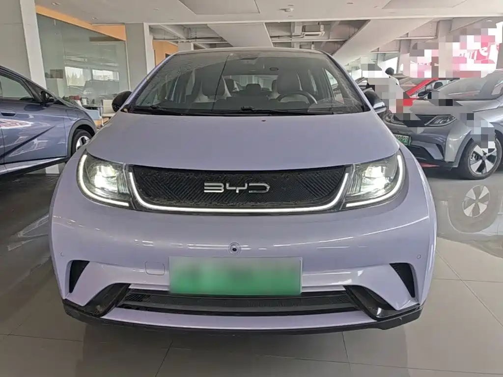 BYD Dolphin — миниатюра 3