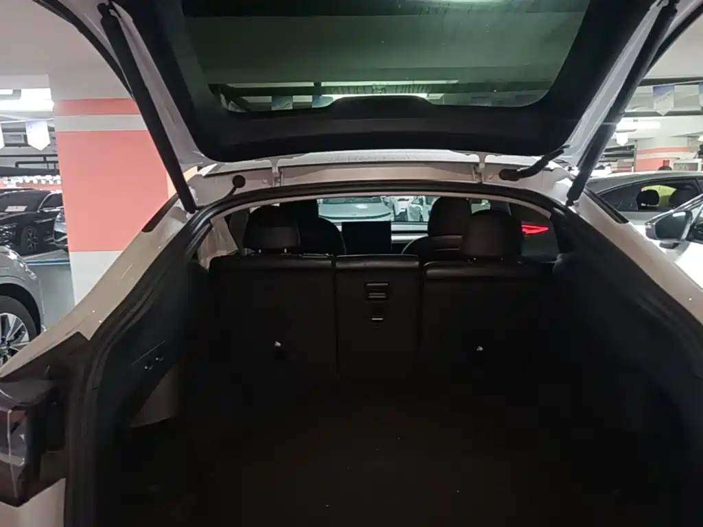 Tesla Model Y — миниатюра 19