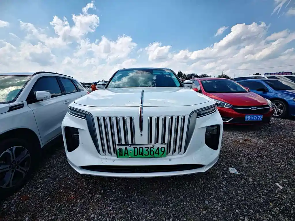 Hongqi Hongqi E-HS9 — миниатюра 7