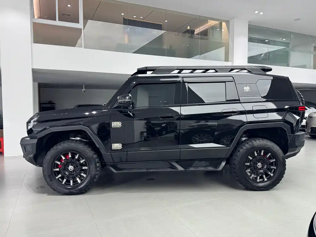 Mengshi Mengshi 917 — миниатюра 7