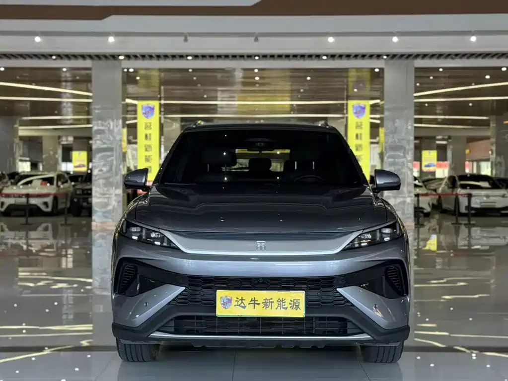 BYD Pro New Energy — миниатюра 2