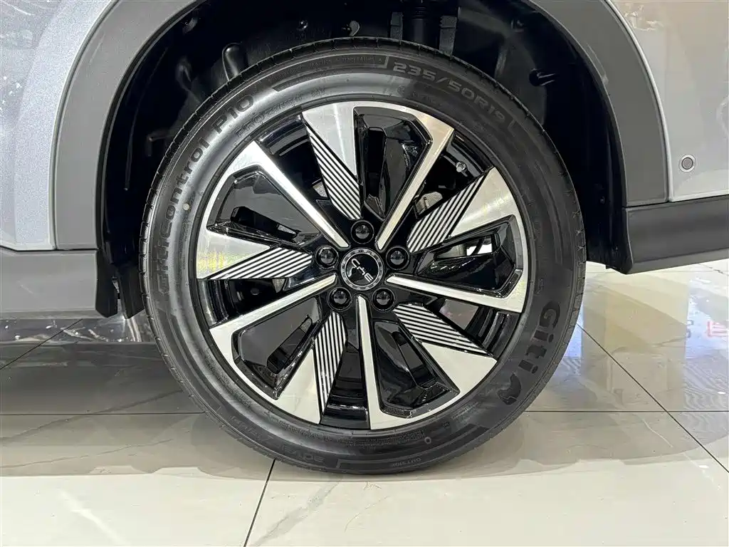 BYD SONGJIANG NEW ENERGY